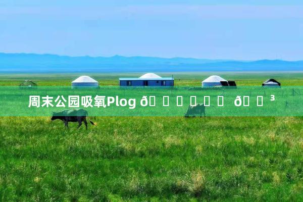 周末公园吸氧Plog 🕊♡◟✦ 🌳