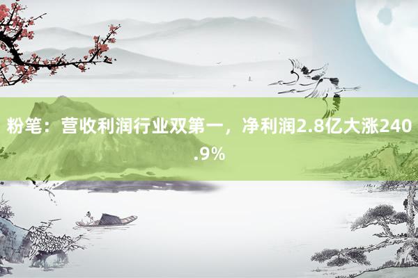 粉笔：营收利润行业双第一，净利润2.8亿大涨240.9%