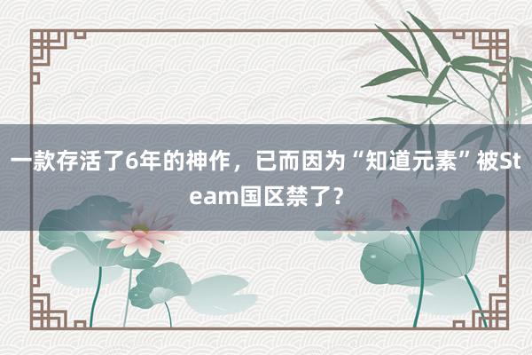 一款存活了6年的神作，已而因为“知道元素”被Steam国区禁了？