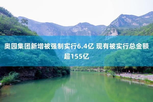 奥园集团新增被强制实行6.4亿 现有被实行总金额超155亿