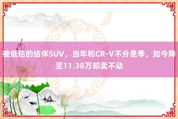 被低估的结伴SUV，当年和CR-V不分昆季，如今降至11.38万却卖不动