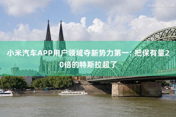 小米汽车APP用户领域夺新势力第一: 把保有量20倍的特斯拉超了